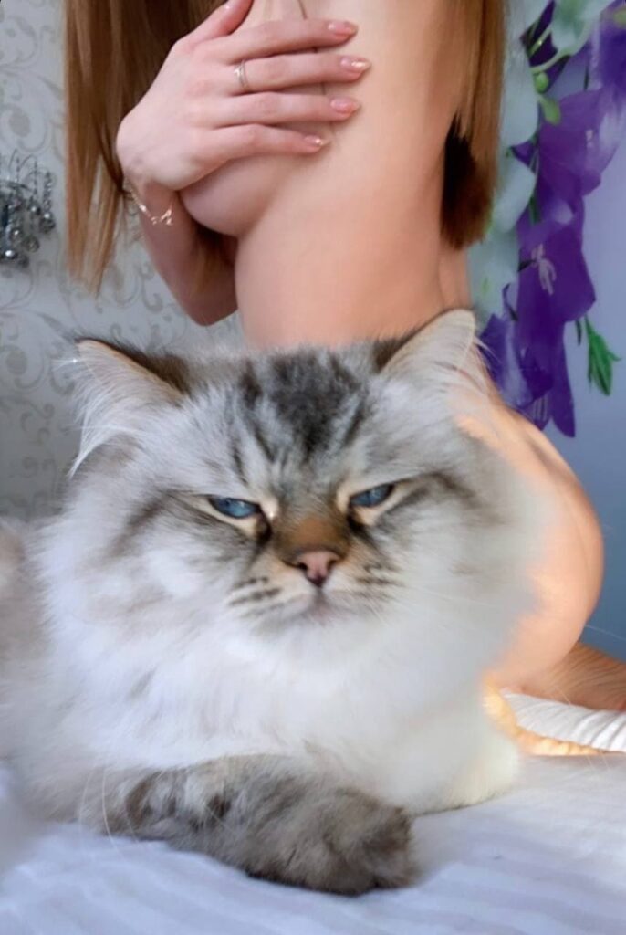 Индивидуалка Ника Интимсити